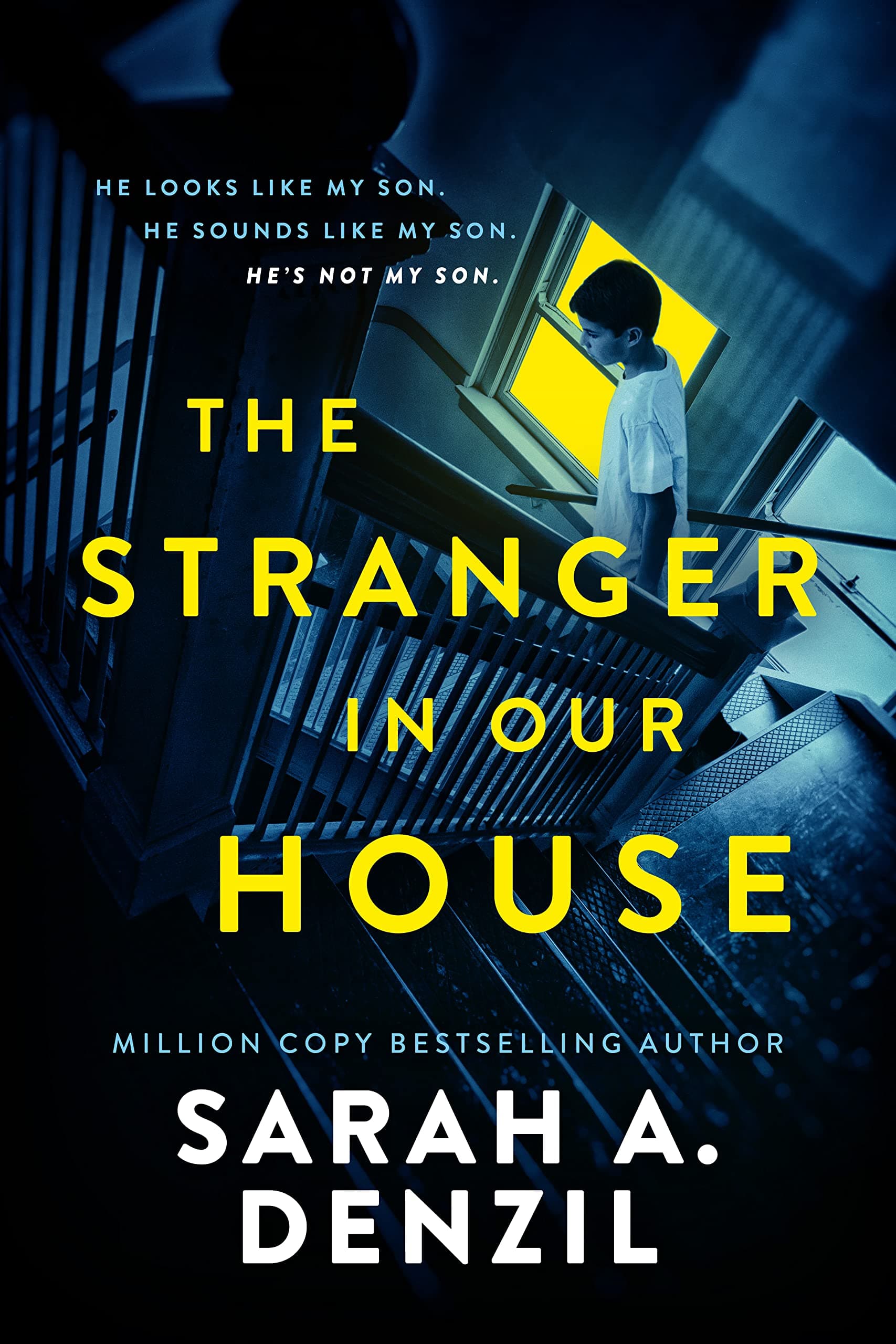 The Stranger in Our House book cover