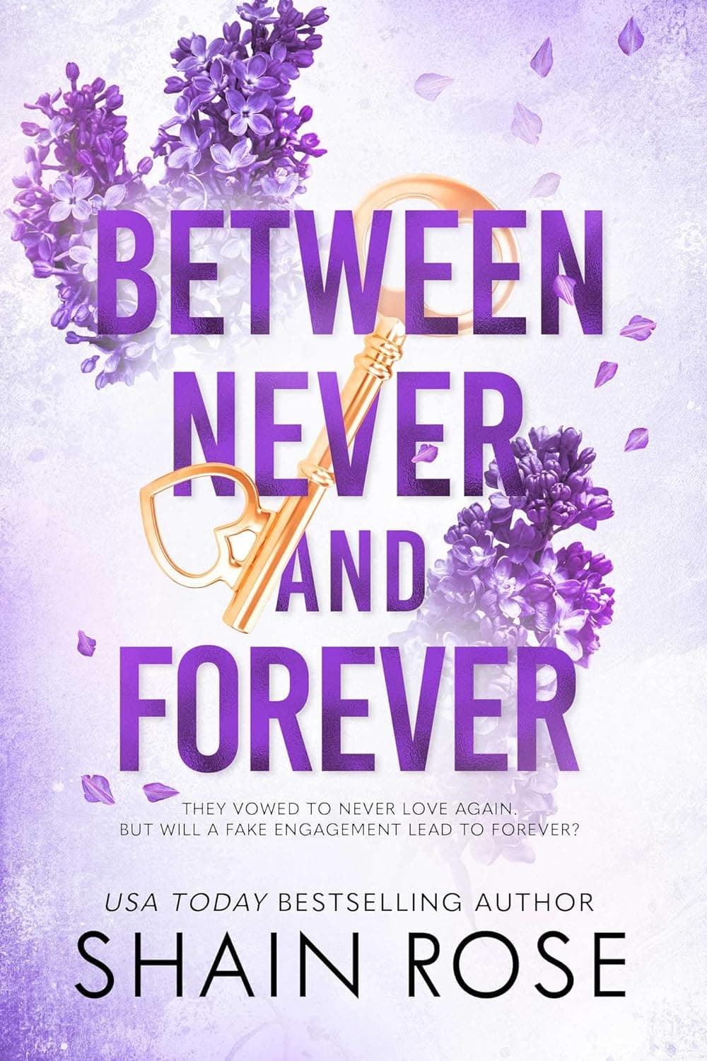 Between Never and Forever book cover
