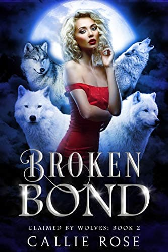 Broken Bond book cover