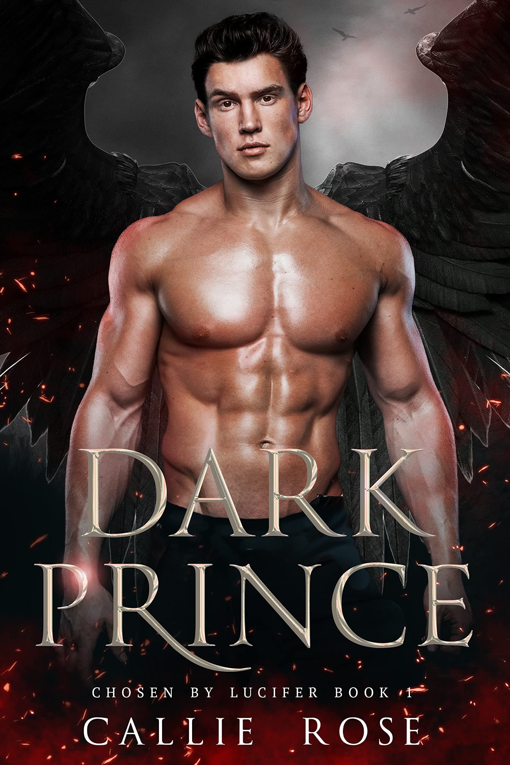 Dark Prince book cover