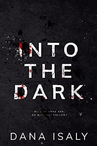 Into the Dark book cover