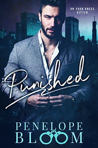 Punished book cover