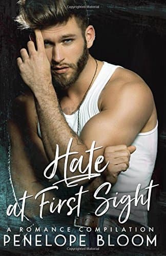 Hate at First Sight book cover