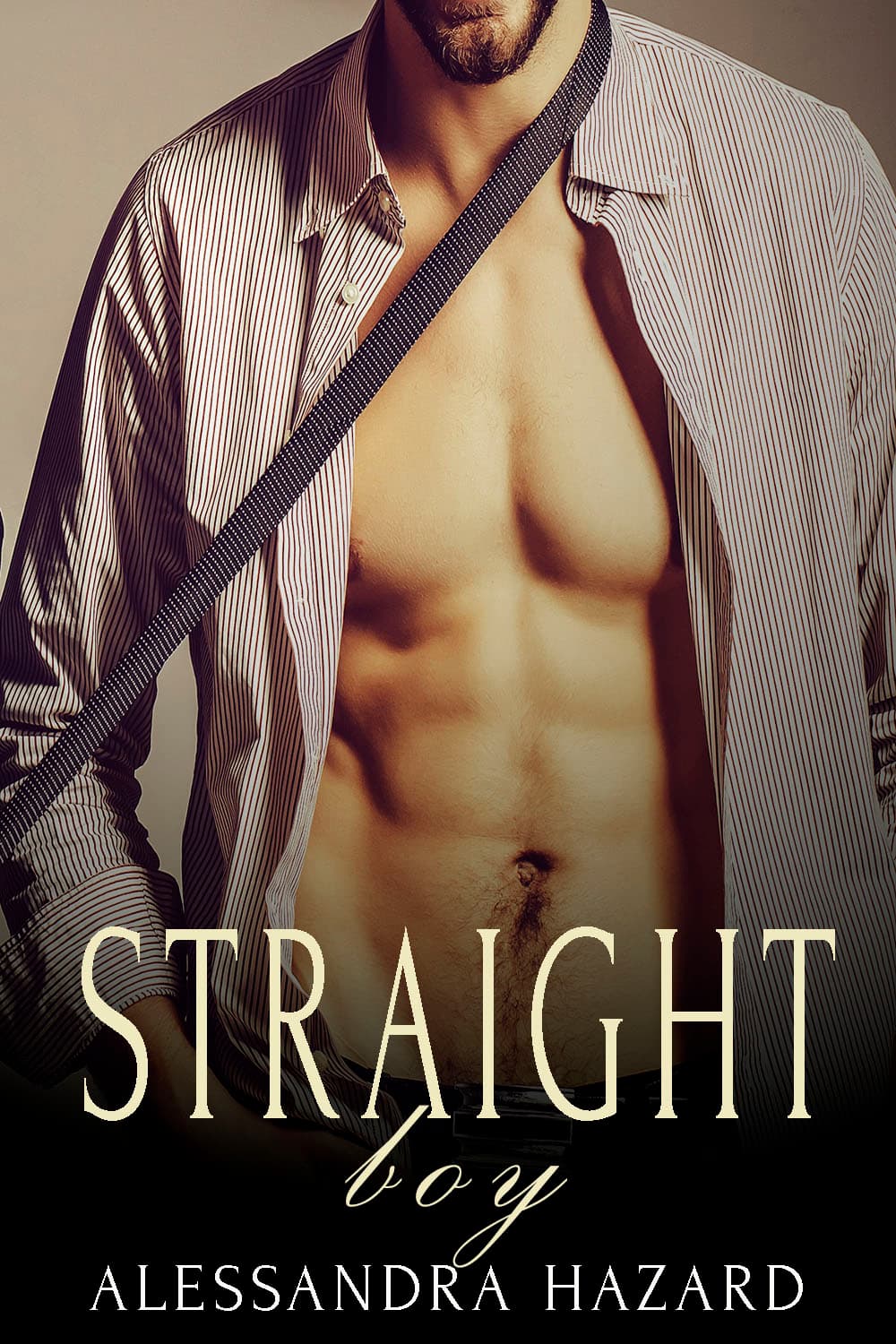 Straight Boy book cover