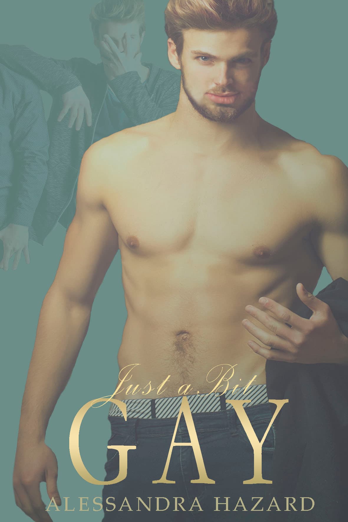 Just a Bit Gay book cover