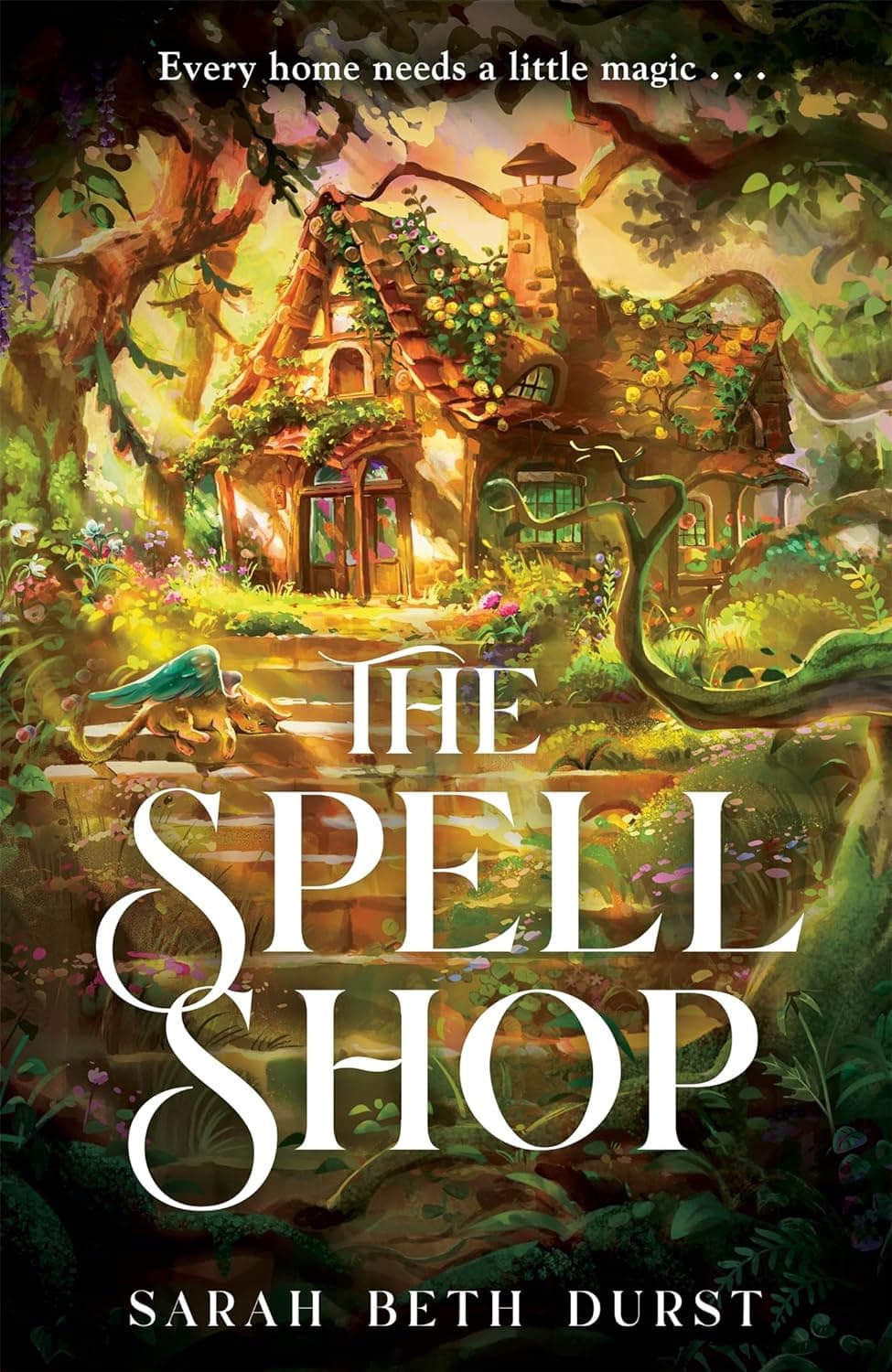 The Spellshop book cover