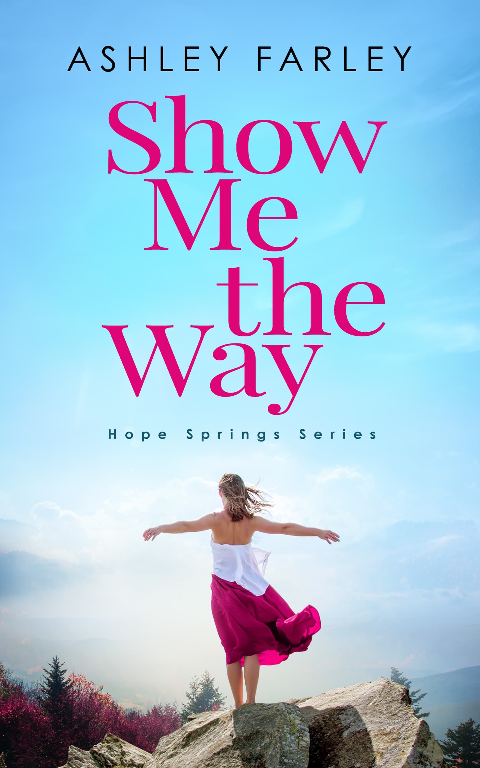 Show Me the Way book cover