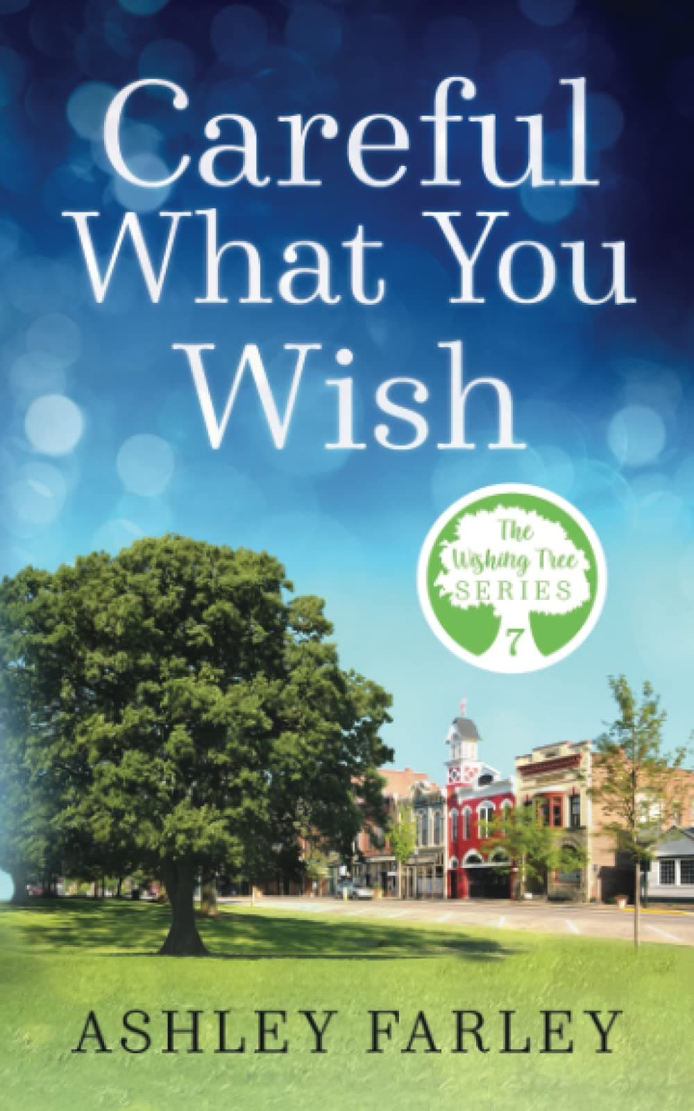 Careful What You Wish book cover