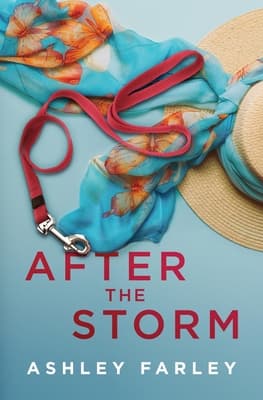 After the Storm book cover