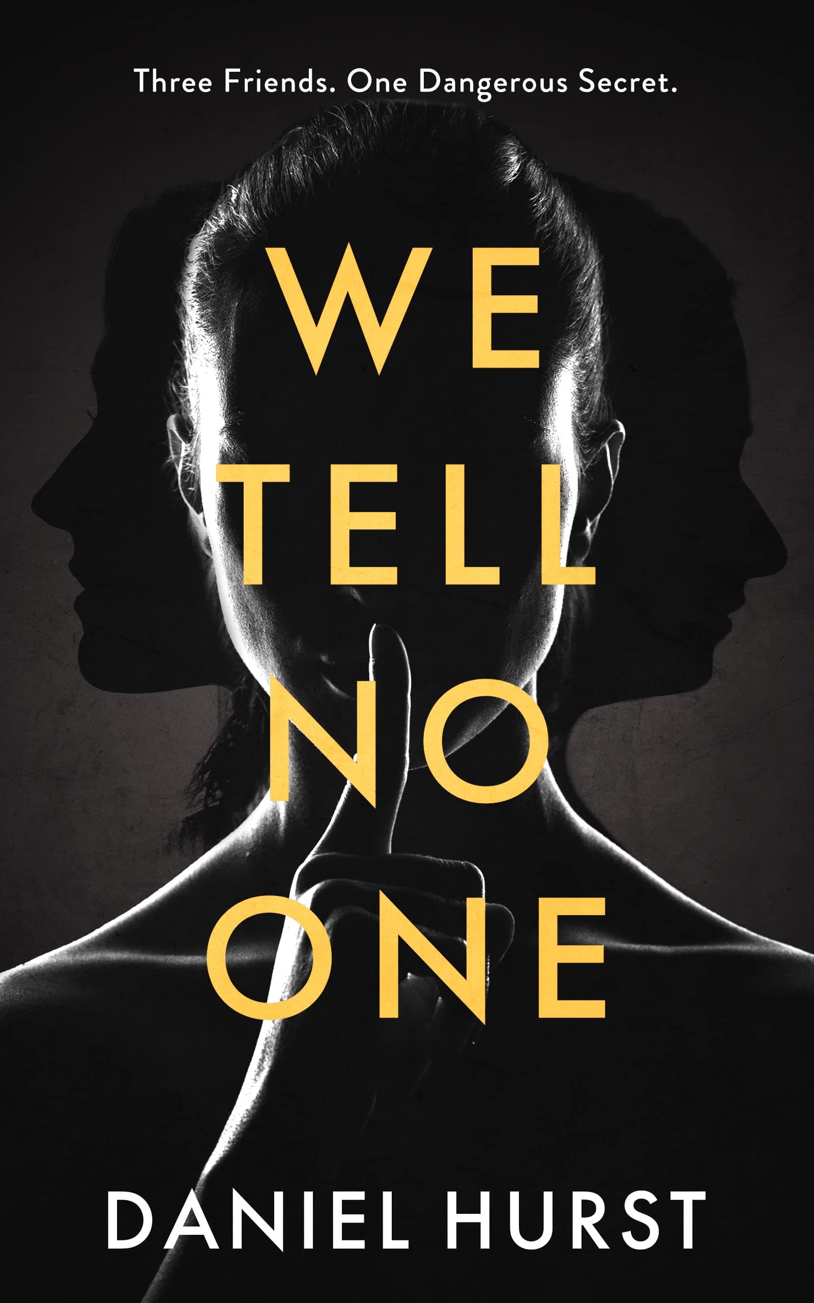 We Tell No One book cover