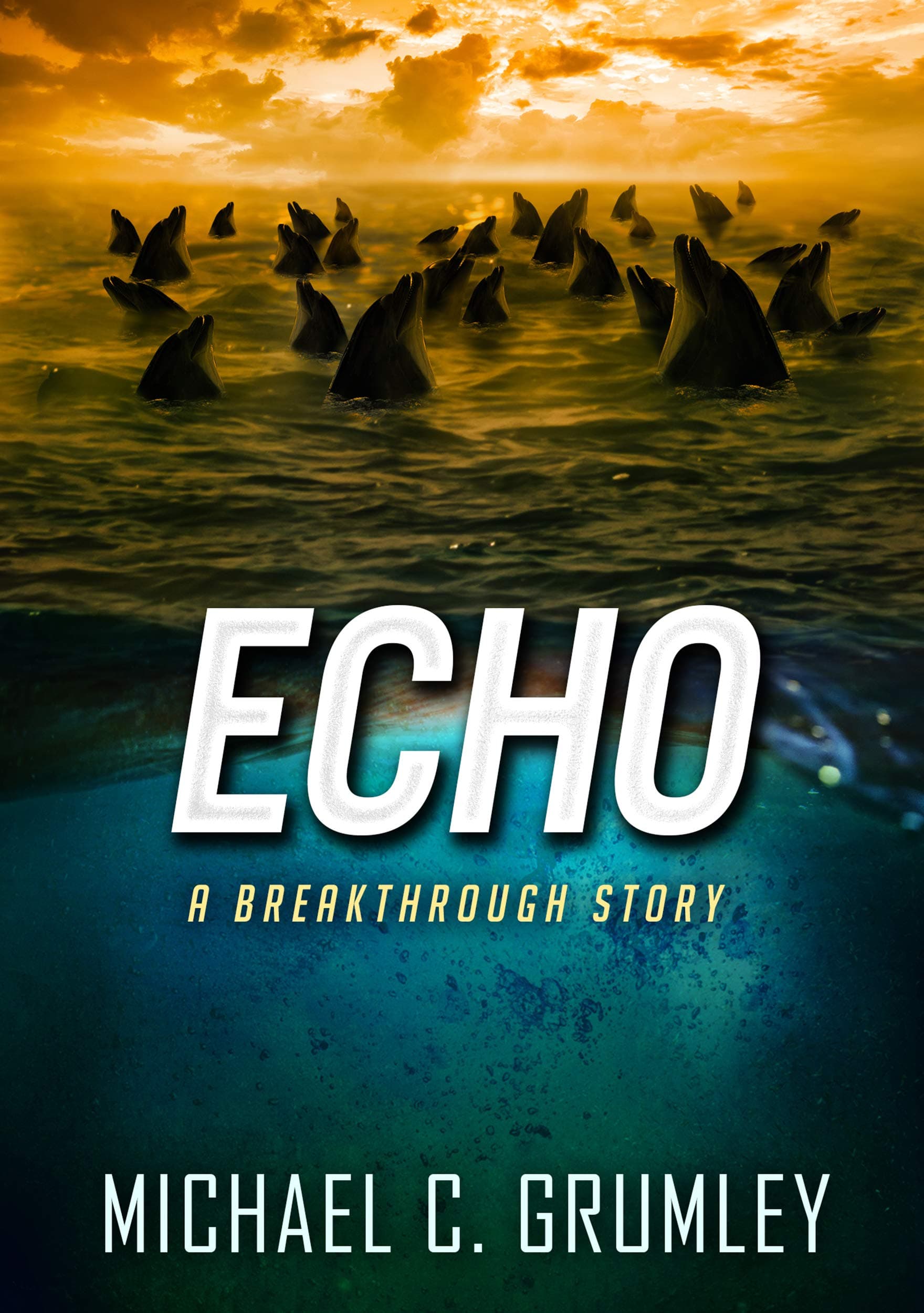 Echo book cover