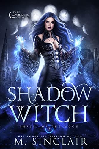 Shadow Witch book cover