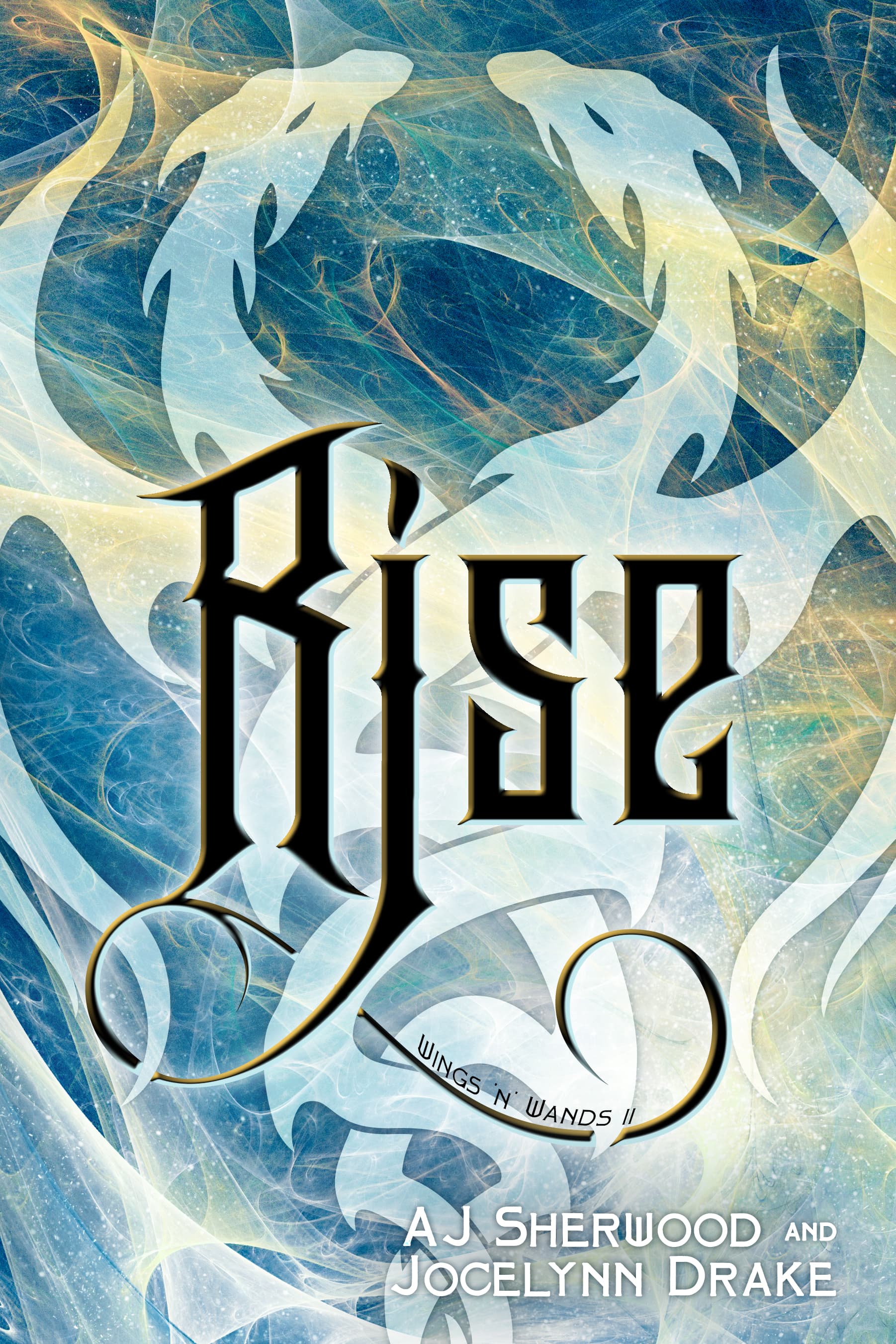 Rise book cover
