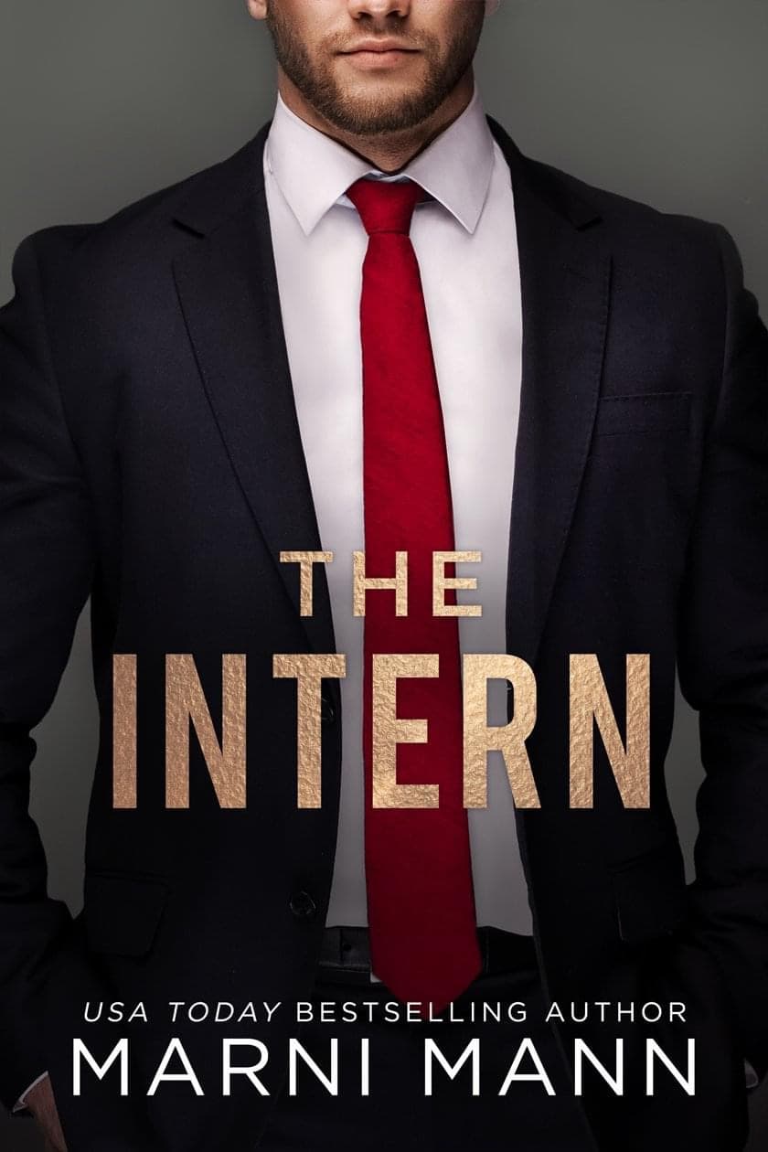 The Intern book cover
