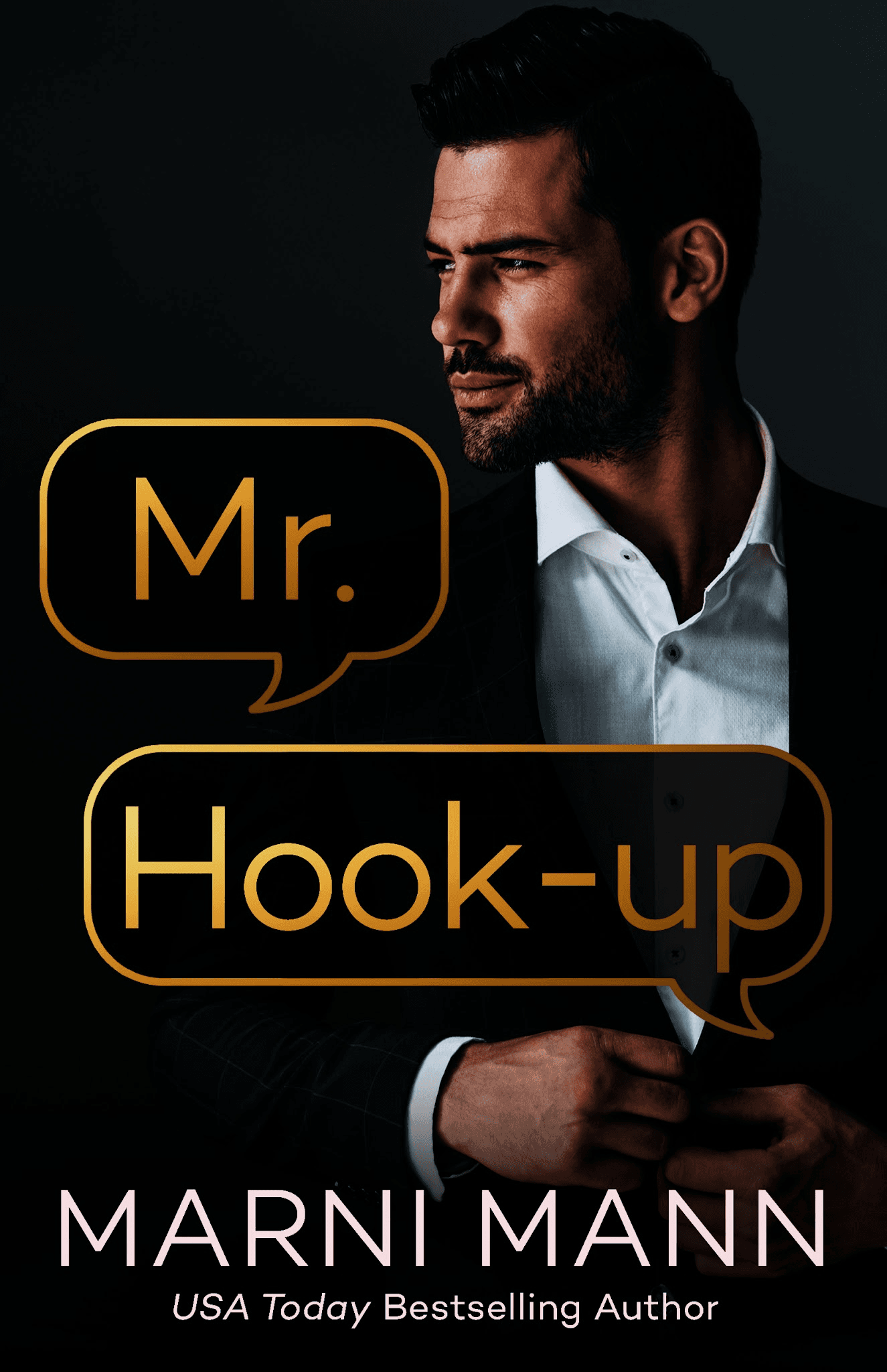 Mr. Hook-up book cover