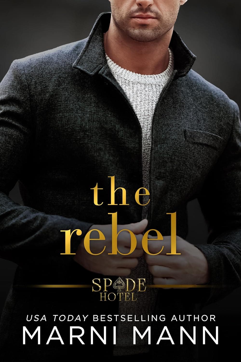 The Rebel book cover
