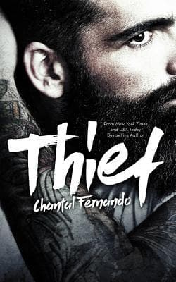 Thief book cover