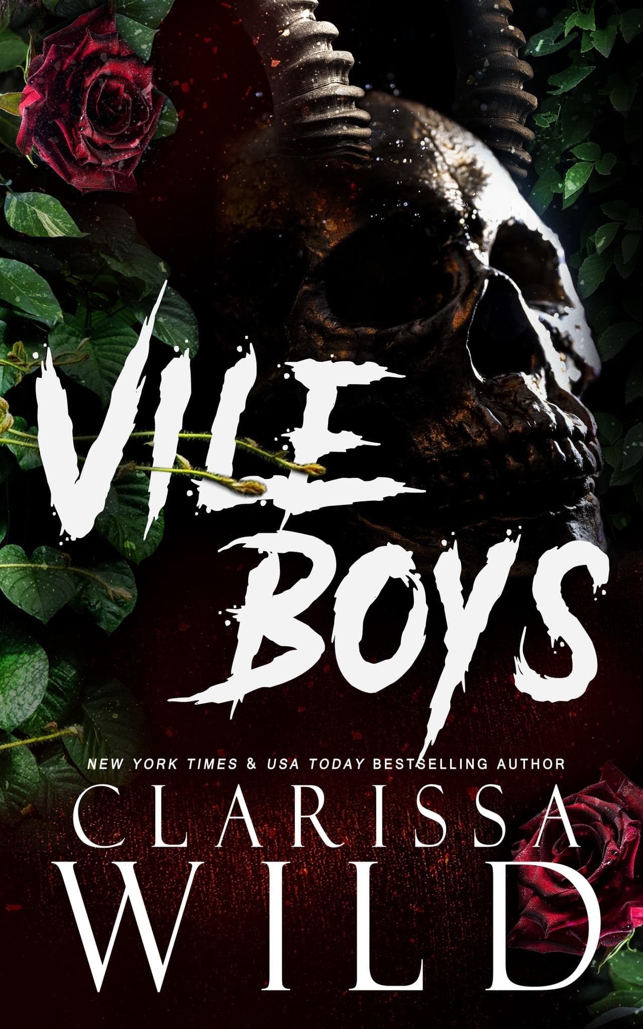 Vile Boys book cover