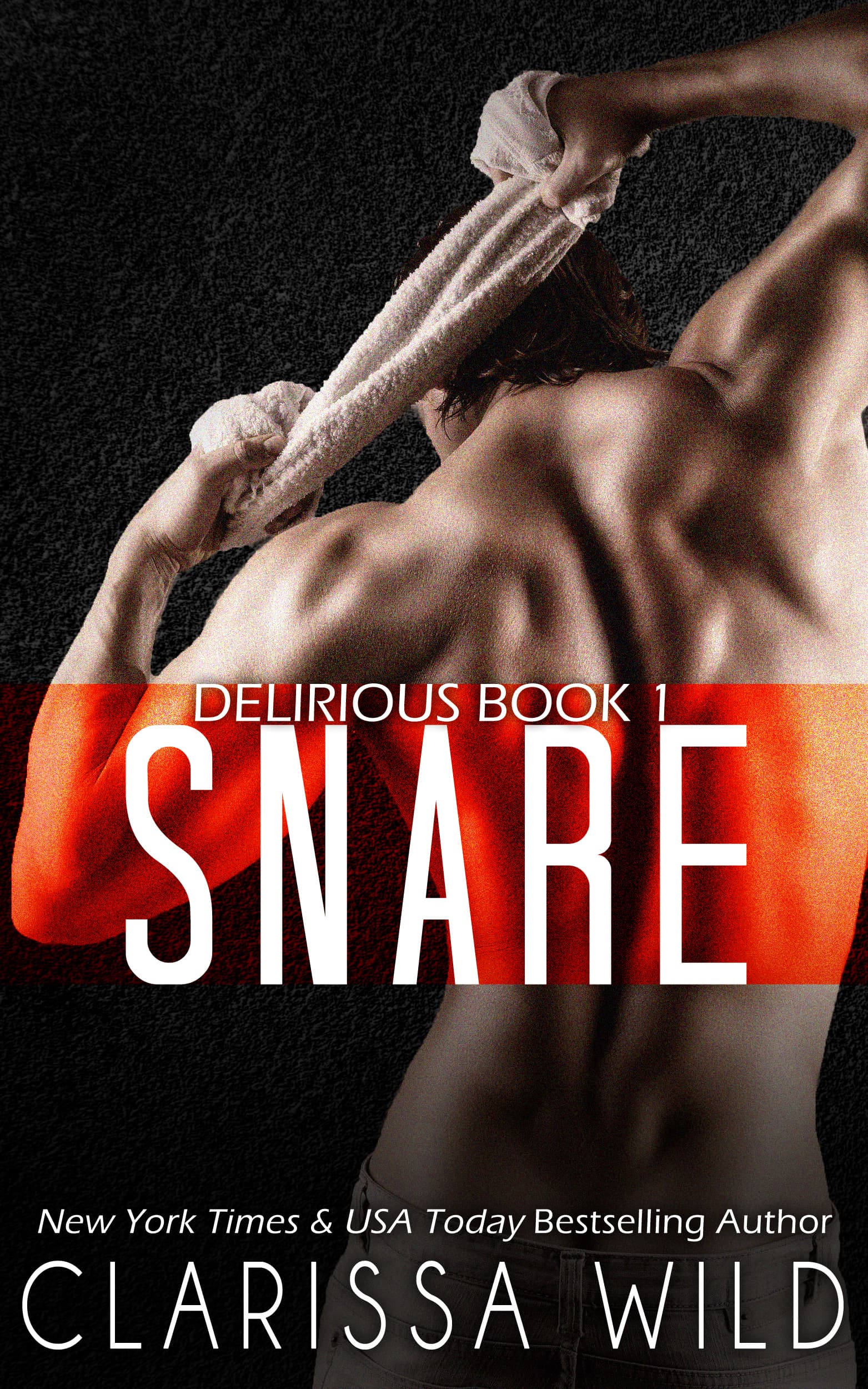Snare book cover
