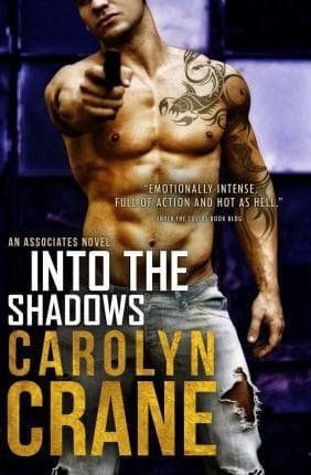 Into the Shadows book cover