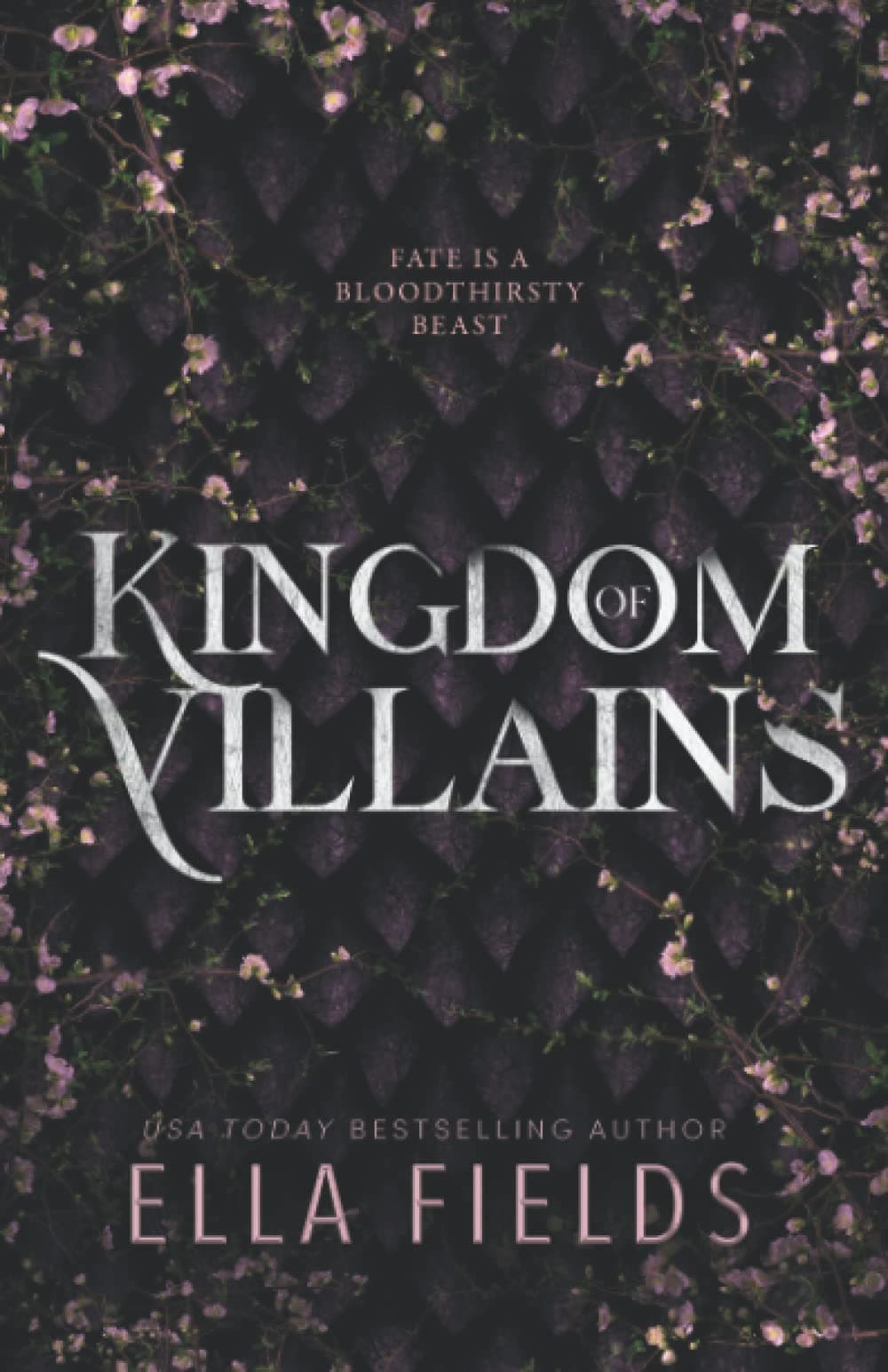 Kingdom of Villains book cover