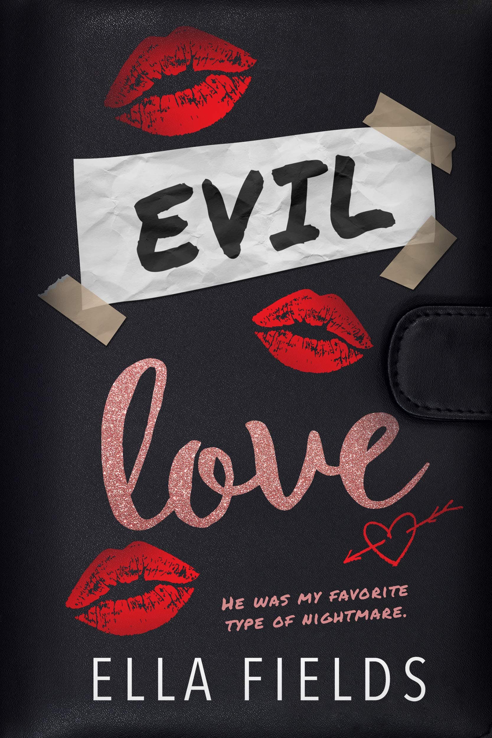 Evil Love book cover