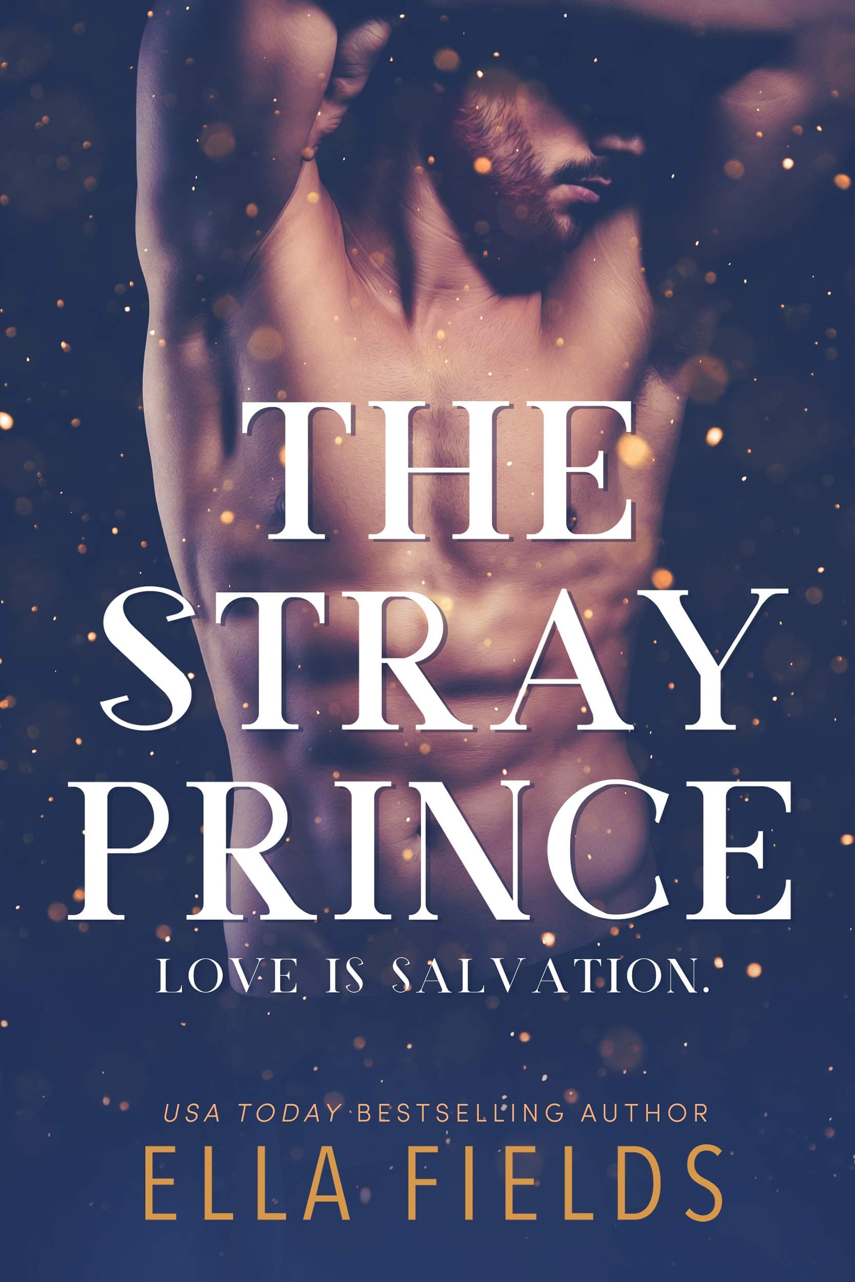 The Stray Prince book cover