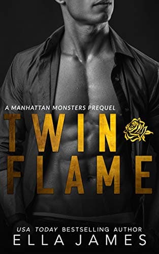 Twin Flame book cover