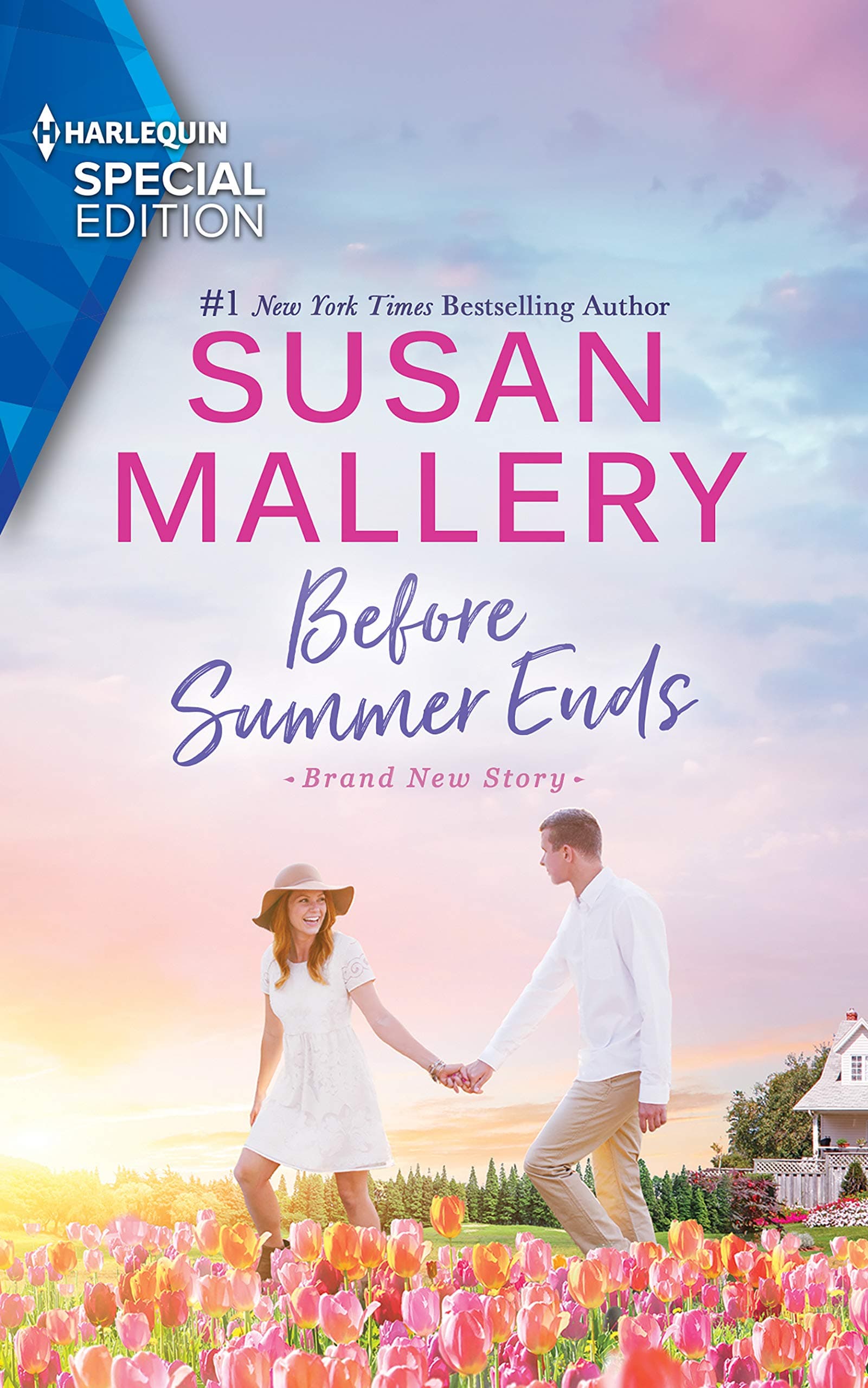 Before Summer Ends book cover