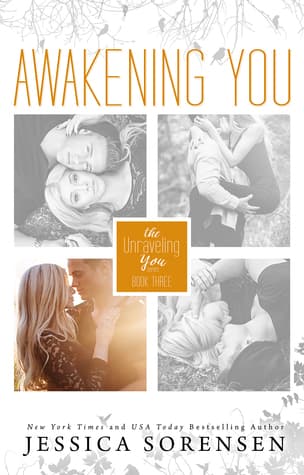 Awakening You book cover