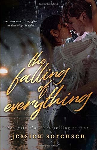 The Falling of Everything book cover