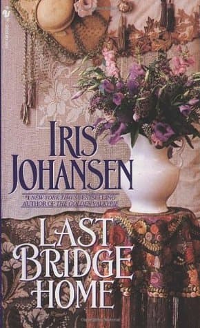 Last Bridge Home book cover