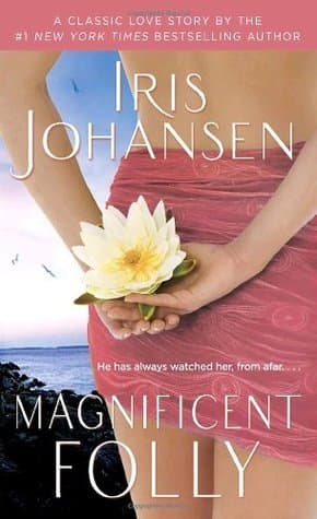 Magnificent Folly book cover