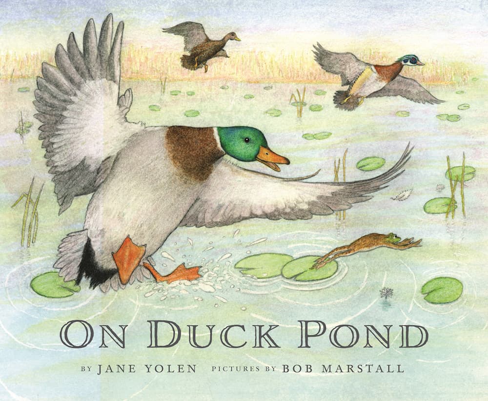 On Duck Pond book cover
