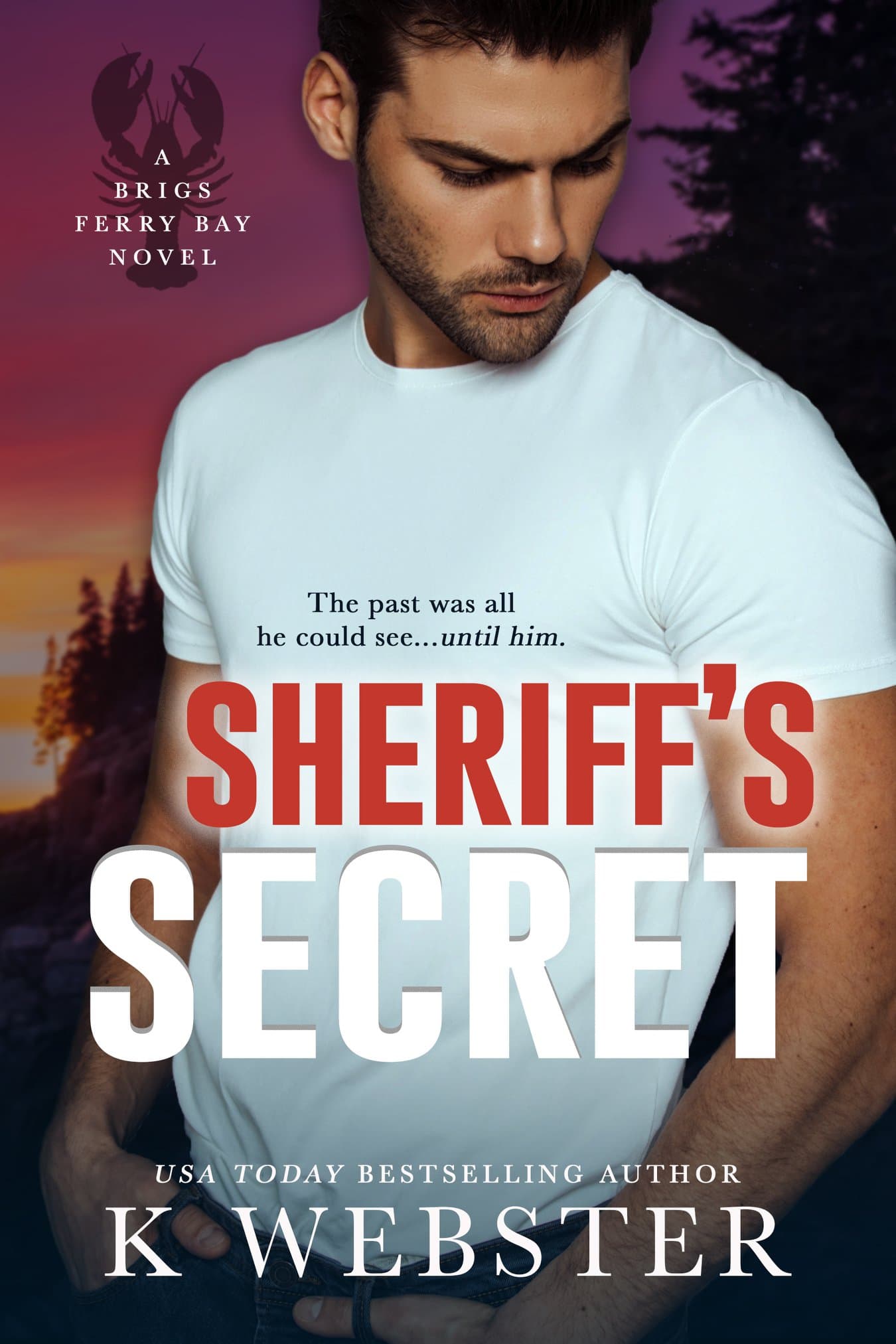Sheriff's Secret book cover