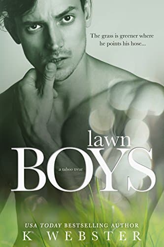 Lawn Boys book cover