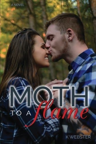 Moth to a Flame book cover