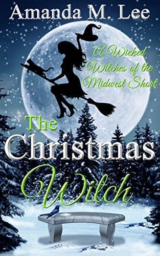 The Christmas Witch book cover