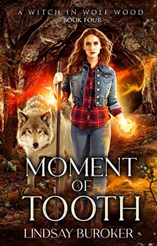 Moment of Tooth book cover
