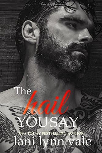 The Hail You Say book cover