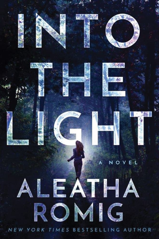 Into the Light book cover