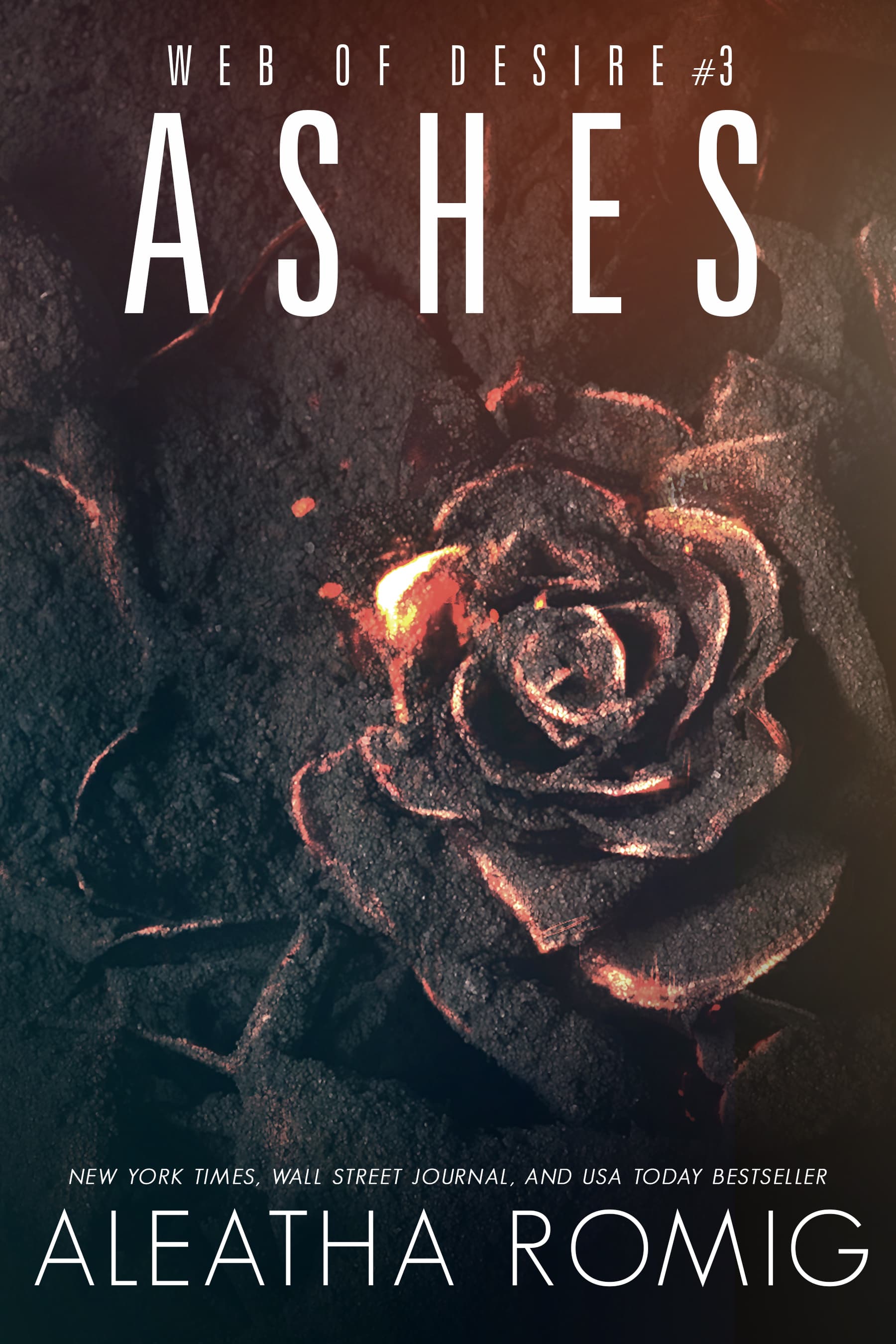 Ashes book cover