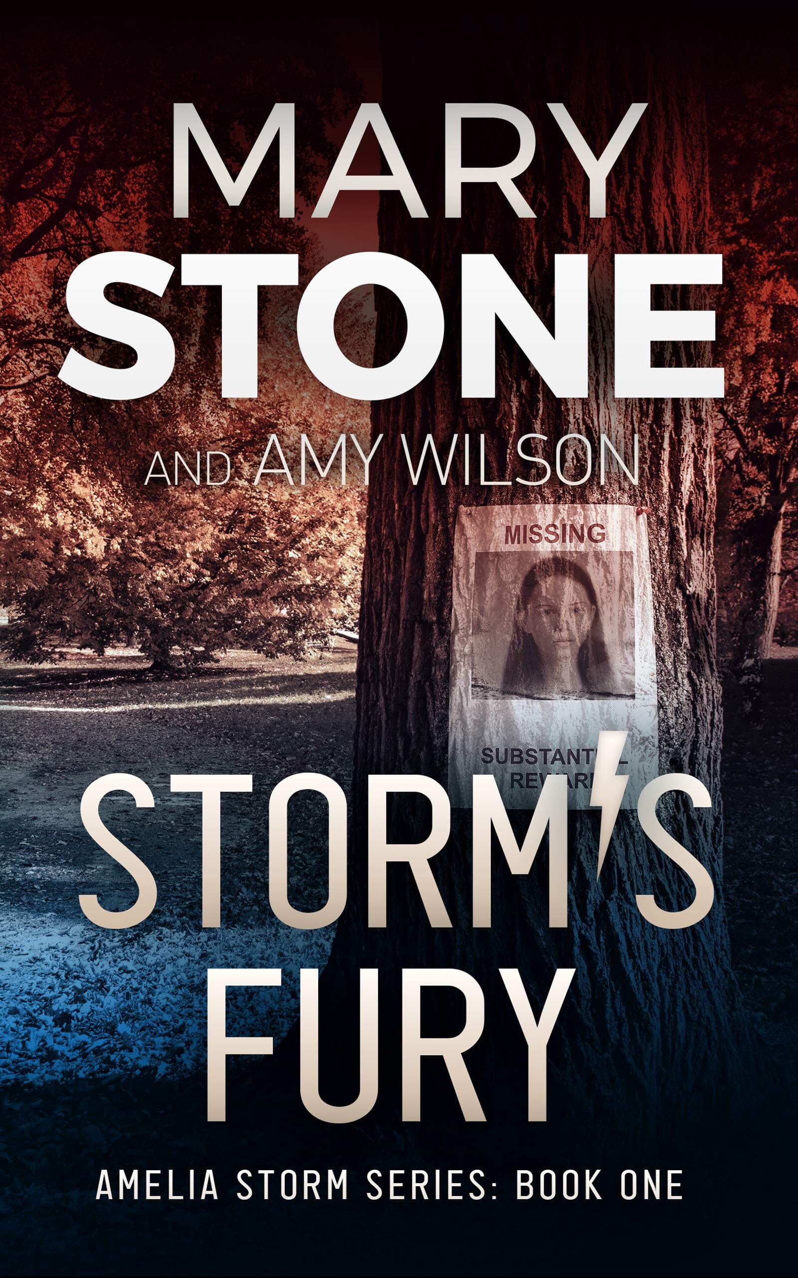 Storm's Fury book cover