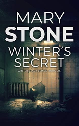 Winter's Secret book cover