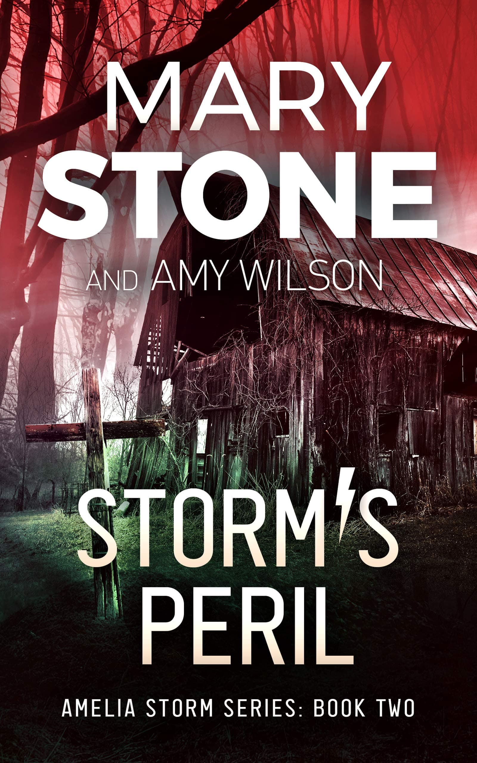 Storm's Peril book cover
