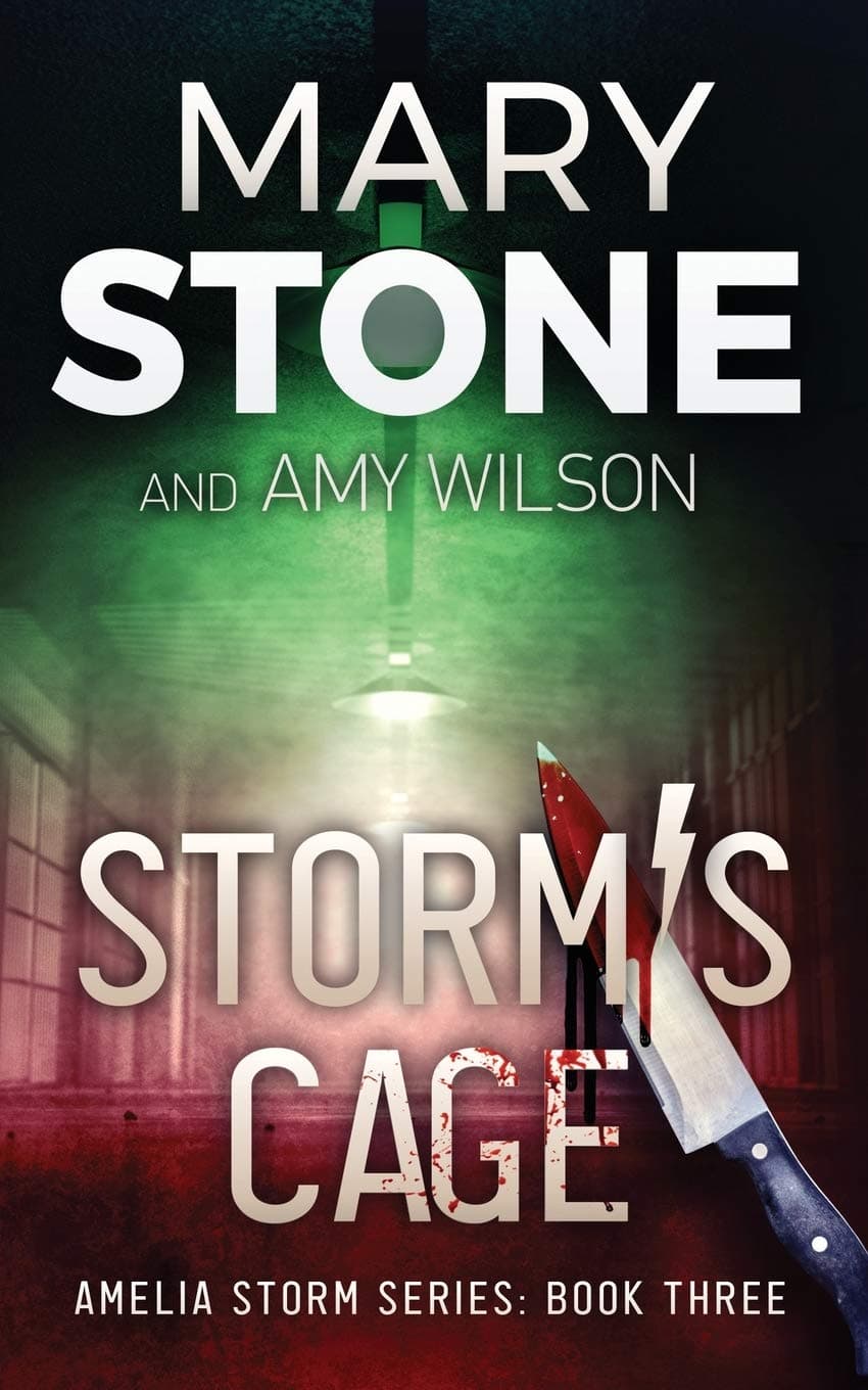 Storm's Cage book cover