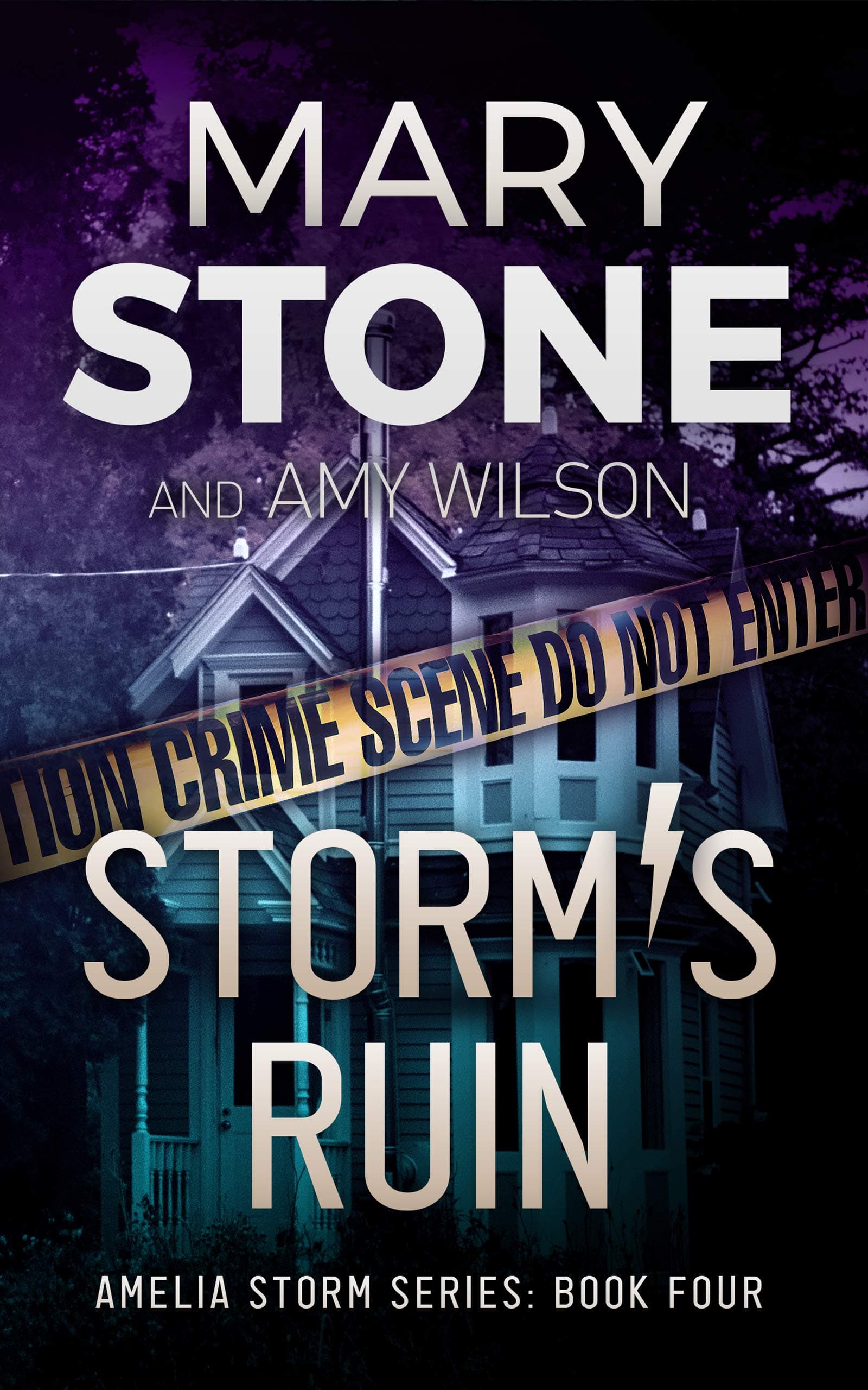 Storm's Ruin book cover
