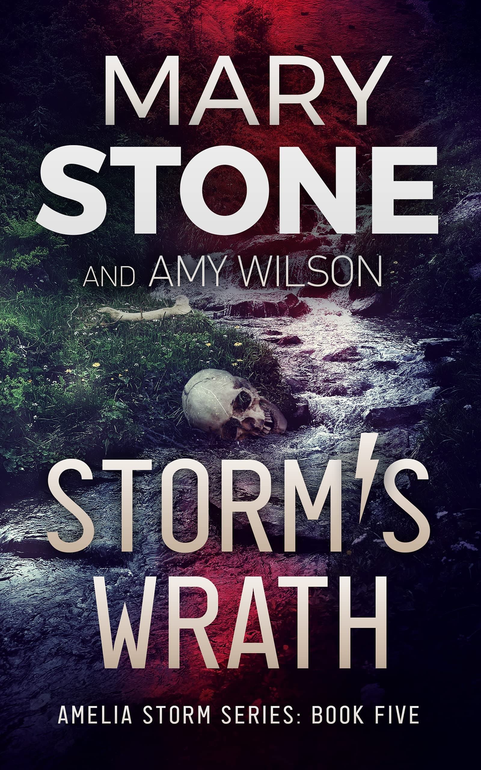 Storm's Wrath book cover