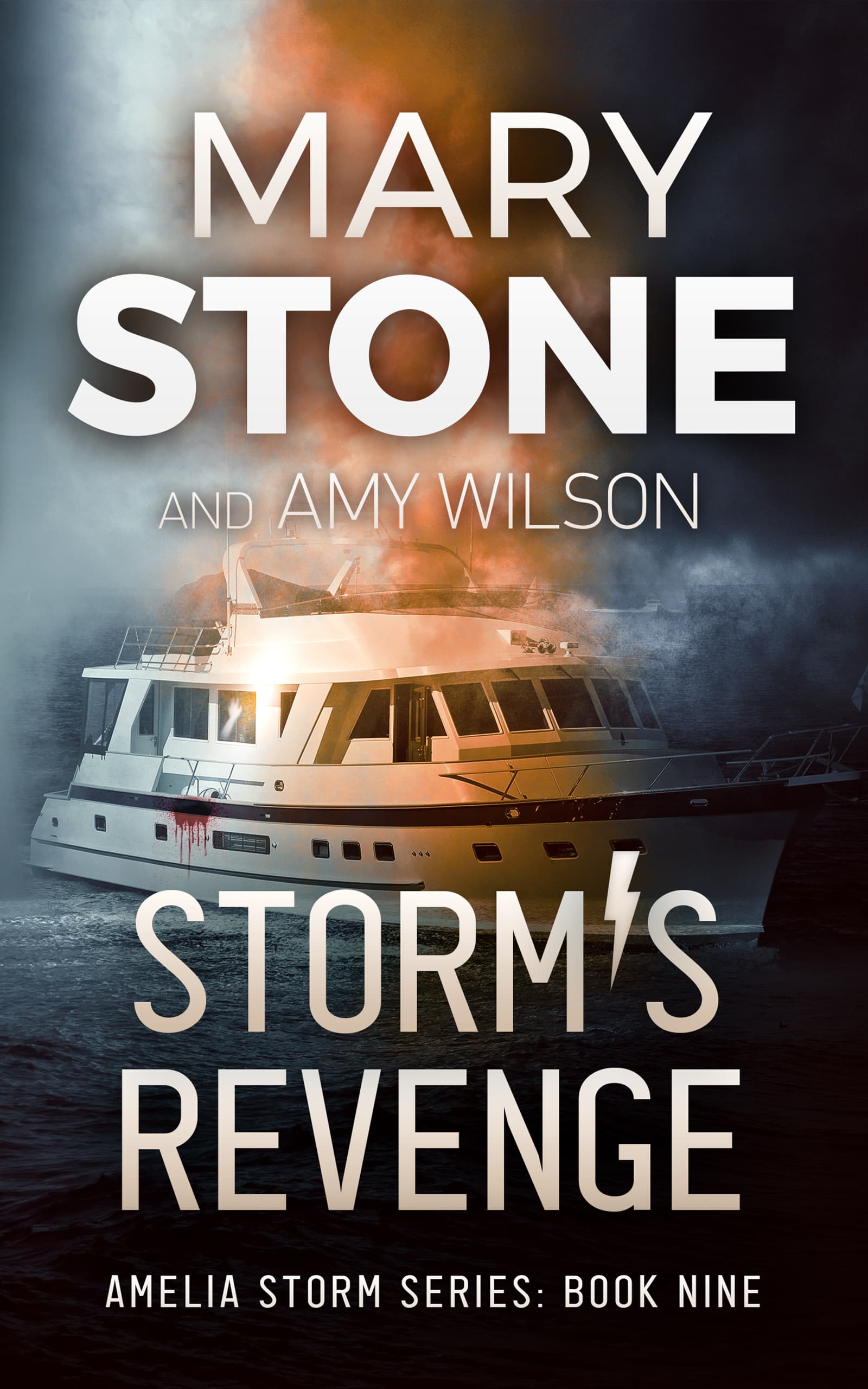 Storm's Revenge book cover