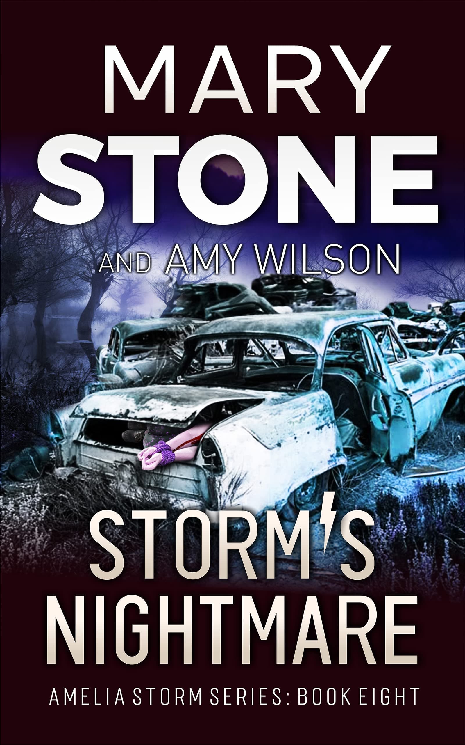 Storm's Nightmare book cover
